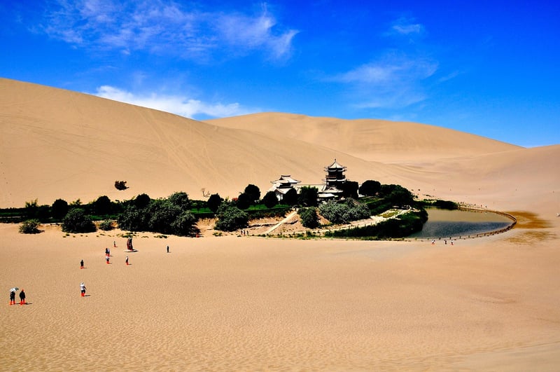 Beach Oasis